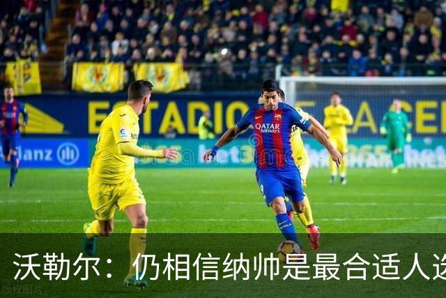 沃勒尔：仍相信纳帅是最合适人选 德国很难接受近3届世界杯表现