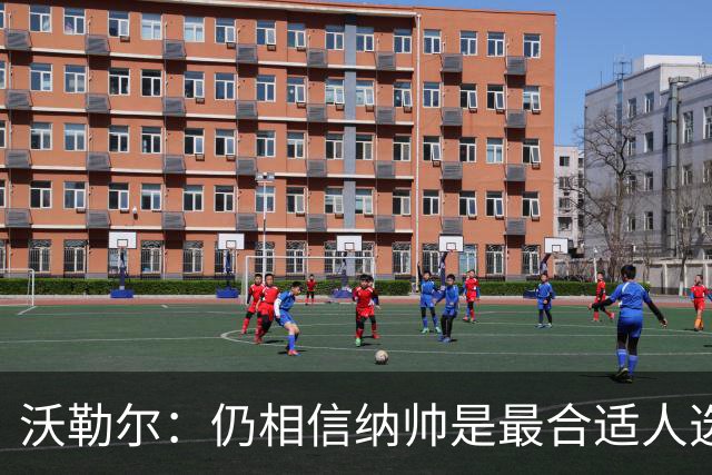 沃勒尔：仍相信纳帅是最合适人选 德国很难接受近3届世界杯表现
