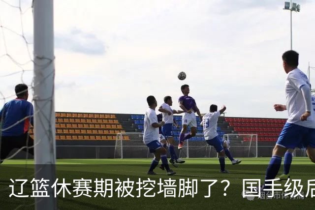 辽篮休赛期被挖墙脚了？国手级后卫恐被交易：变相逼着赵继伟走人